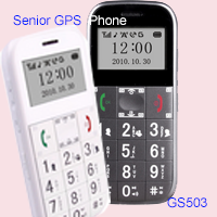 GS503.png